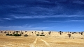 wheat country 3